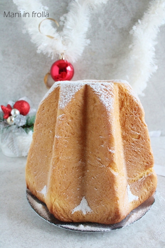 Pandoro avec une seule pâte