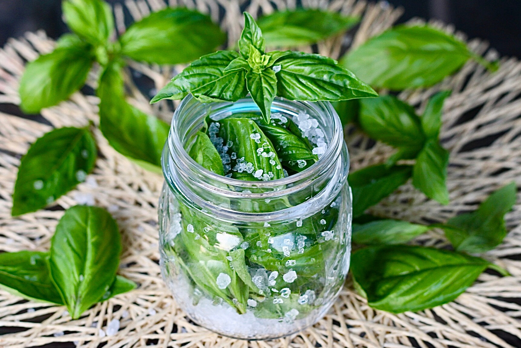 Basilic sous sel, comment l’avoir frais toute l’année.
