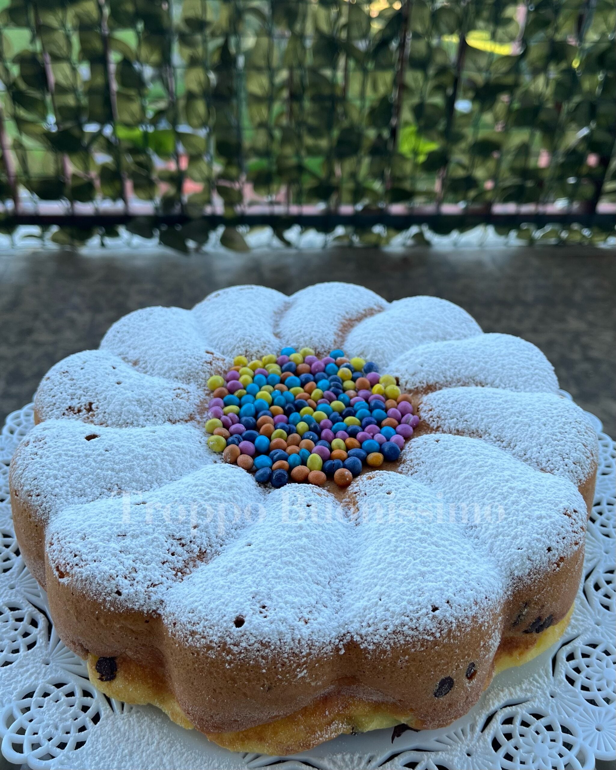 Gâteau à la crème pâtissière