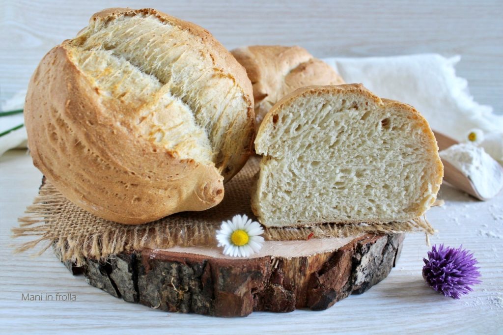 Pains type Biove faits maison