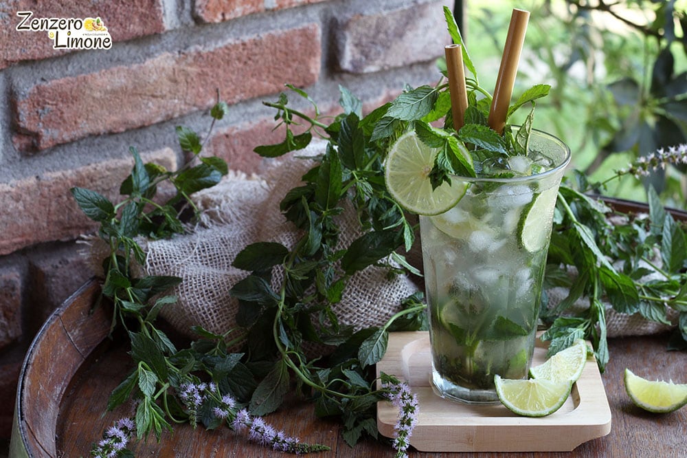 Mojito classique