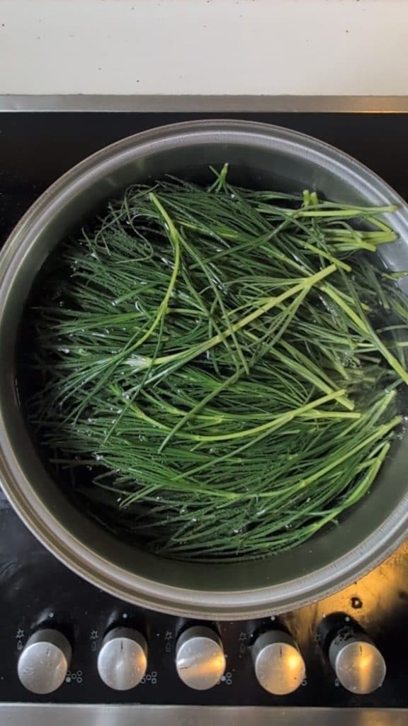 Comment Cuisiner les Barbes-de-Capucin : LA Recette Facile (et Délicieuse!) que Vous Recherchiez