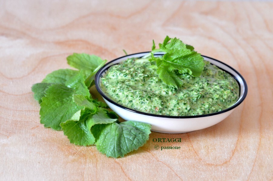 Pesto de feuilles de radis et autres recettes de recyclage
