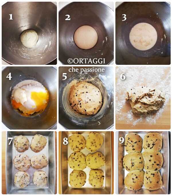 Petits pains sucrés aux pépites de chocolat photo recette étape par étape