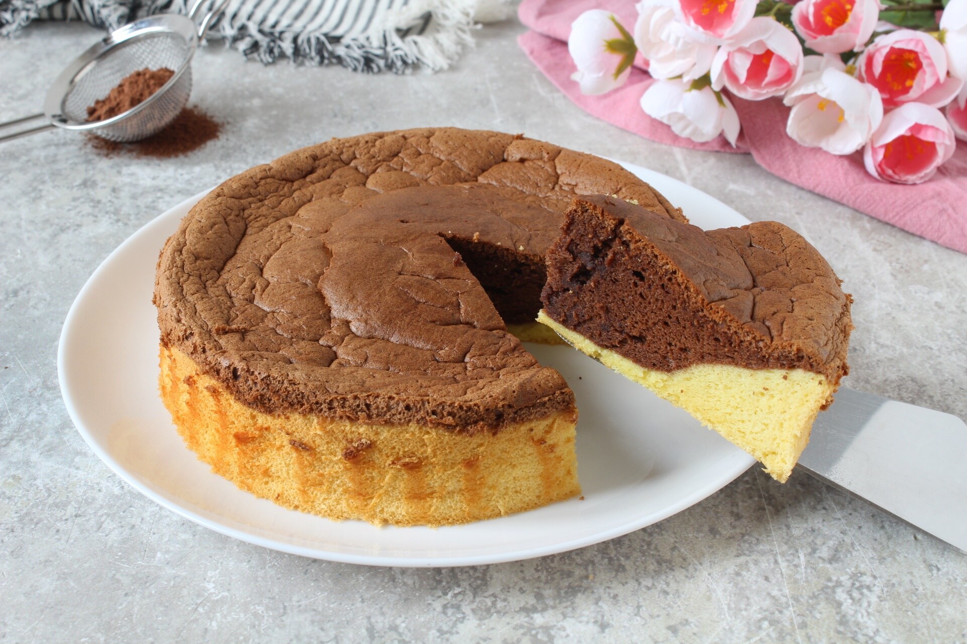 GÂTEAU NUAGE BICOLORE