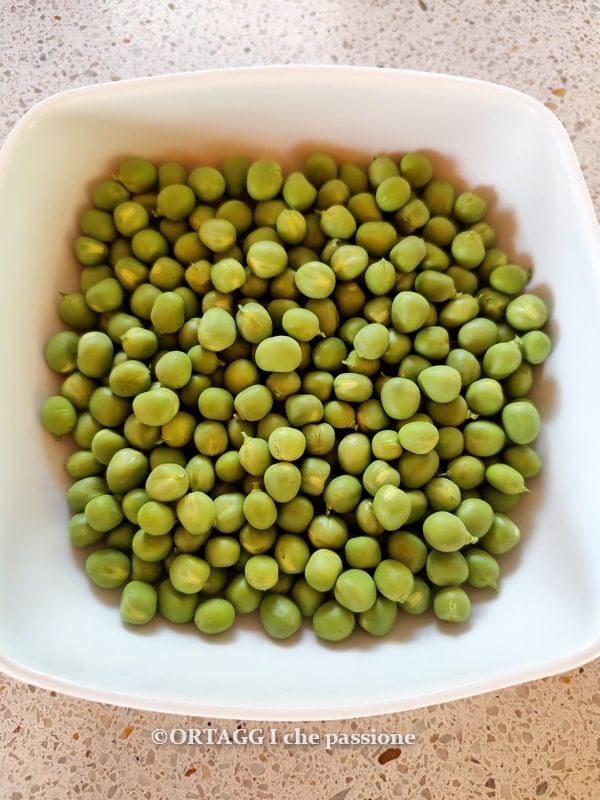 petits pois frais écossés