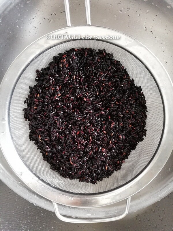 rincer laver le riz noir venere