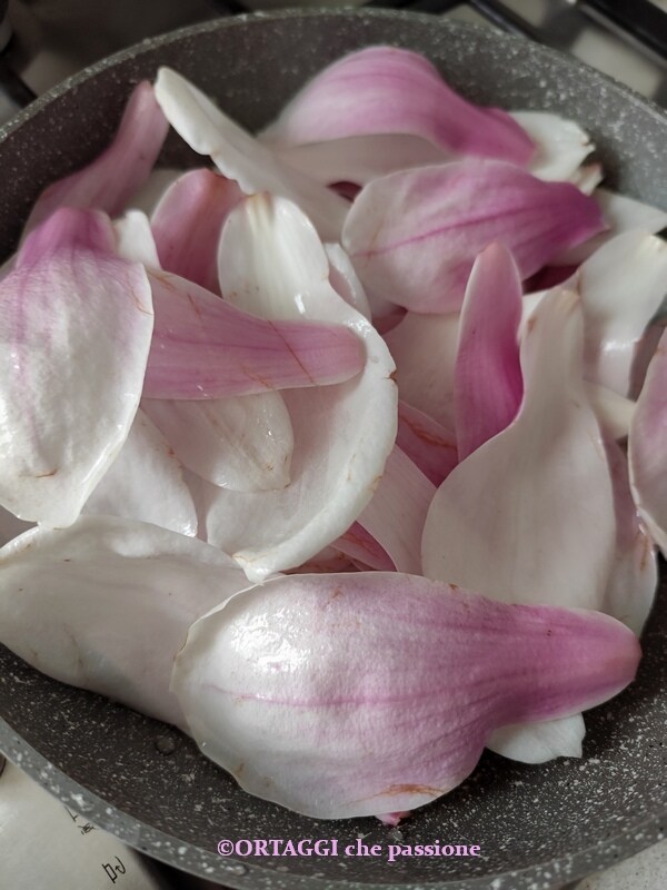 pétales de magnolia à la poêle