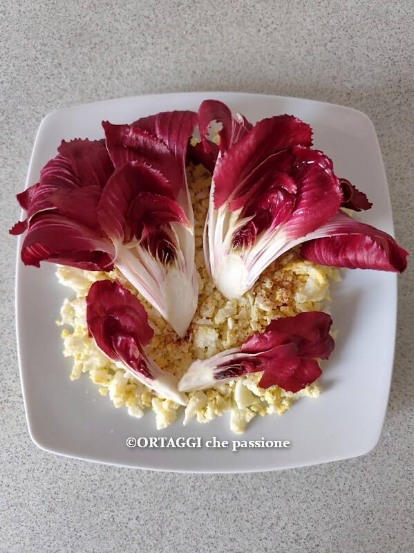 rose de gorizia et œufs - période