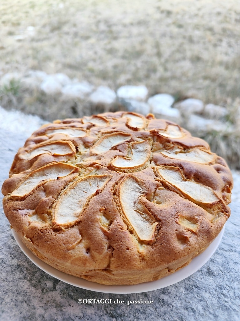 gâteau moelleux aux pommes de grand-mère meilleur que j'aie jamais mangé
