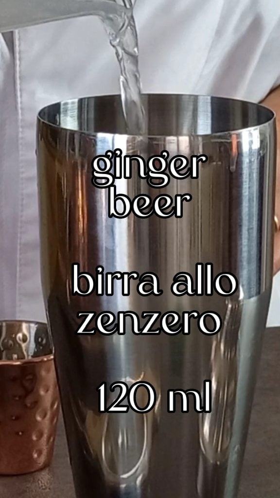 bière au gingembre - ginger beer