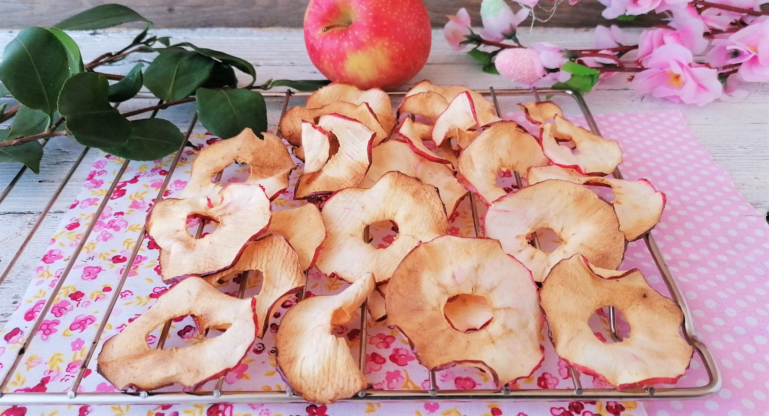 CHIPS DE POMMES AVEC FRITEUSE À AIR SNACK SAIN