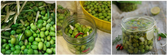 Olives vertes en saumure et arômes