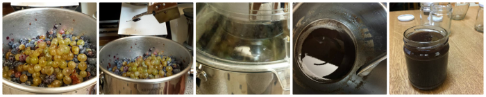 Confiture de raisins mélangés