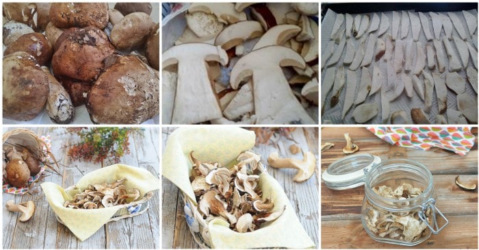 Comment sécher les champignons au soleil