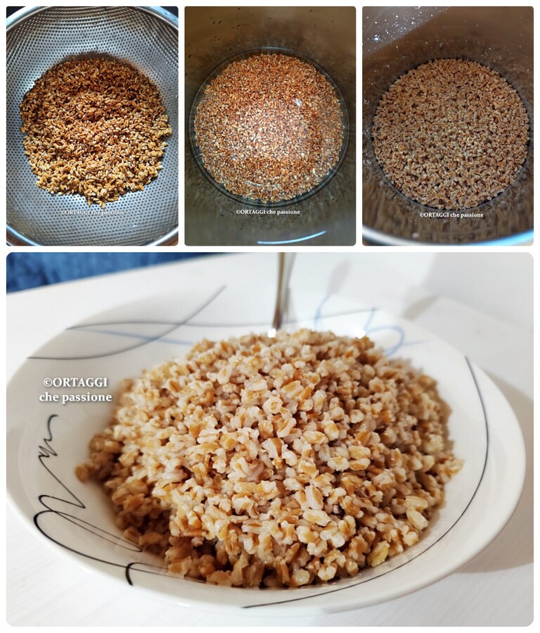 cuisson épeautre en 10 minutes