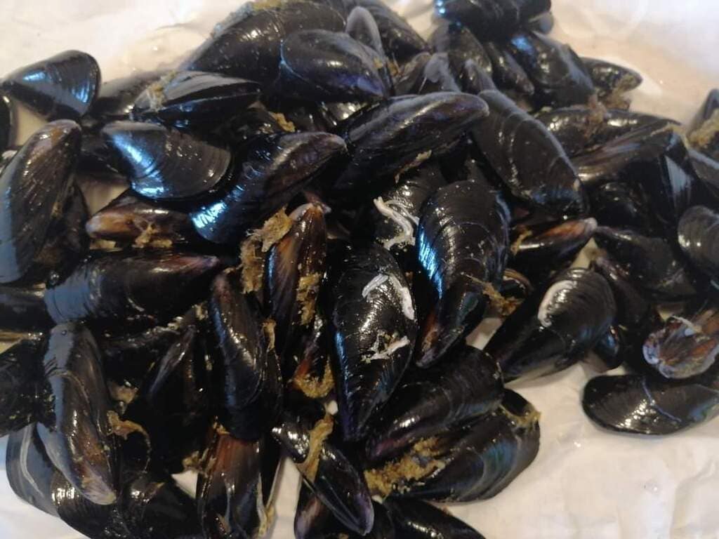 moules sales