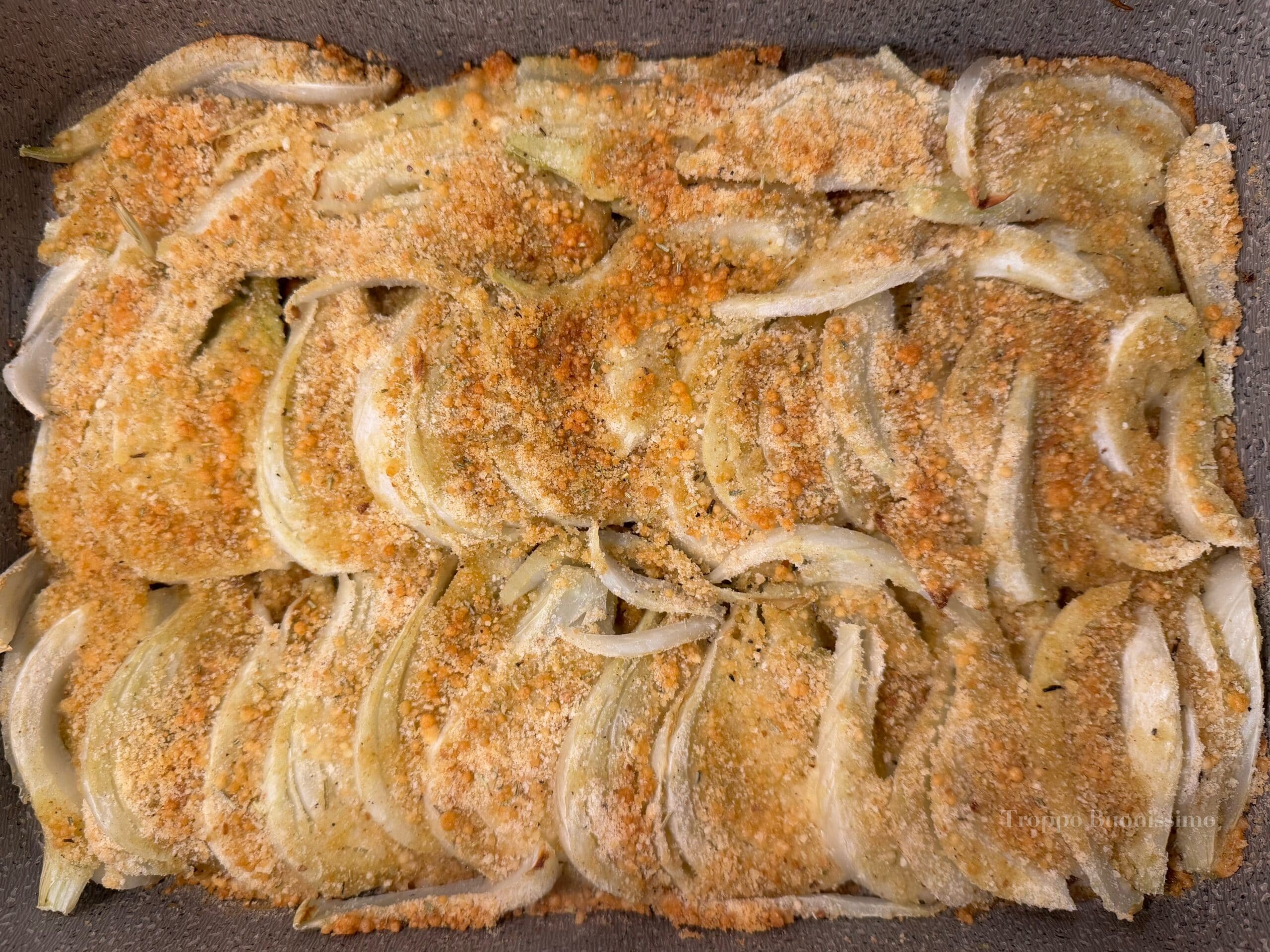 Fenouils gratinés au four : l’accompagnement léger et savoureux