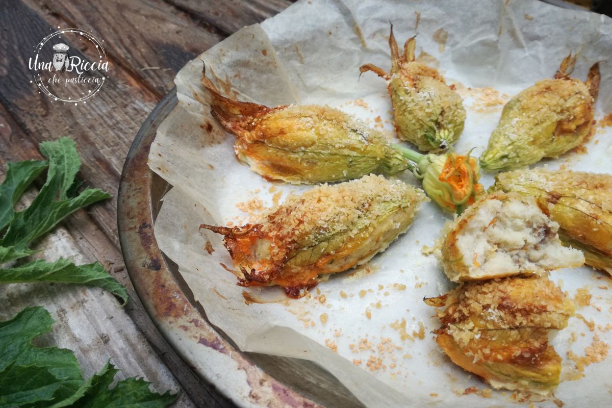 Fleurs de courgette de mer