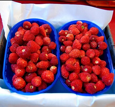 fraises