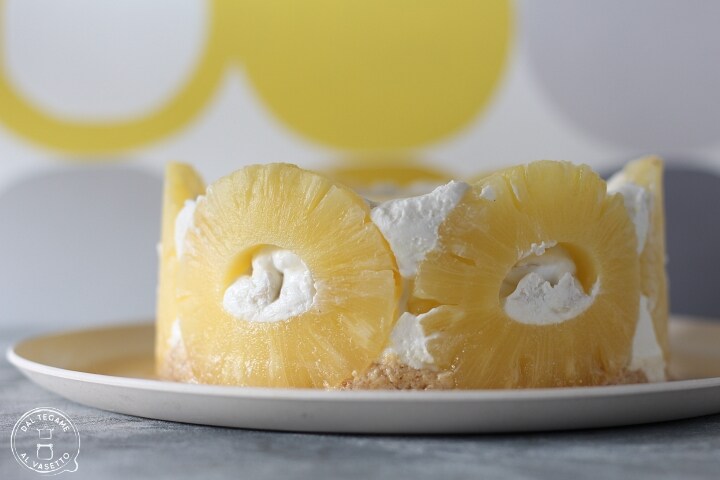 Gâteau froid au yaourt sans sucre
