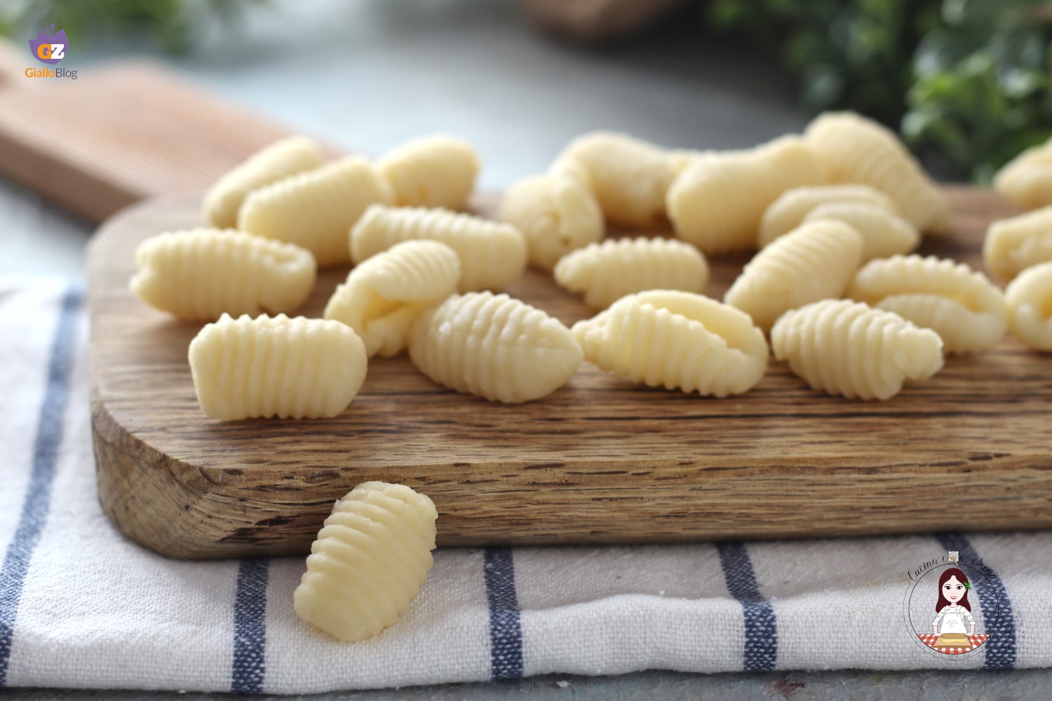 Gnocchis de lait et farine