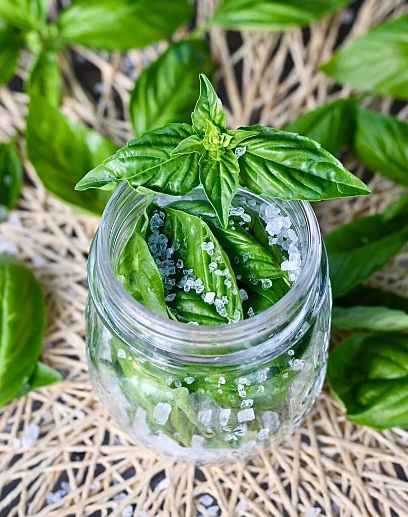 Cette image a l'attribut alt vide; le nom du fichier est IMG_3479-960x1218.jpeg