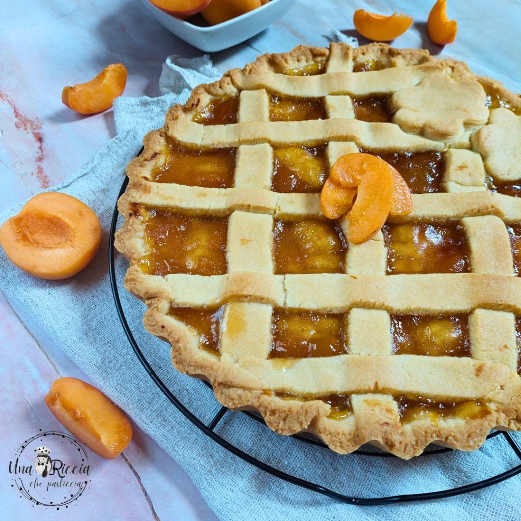 insta-tarte-à-l'abricot-sans-œufs-et-sans-beurre