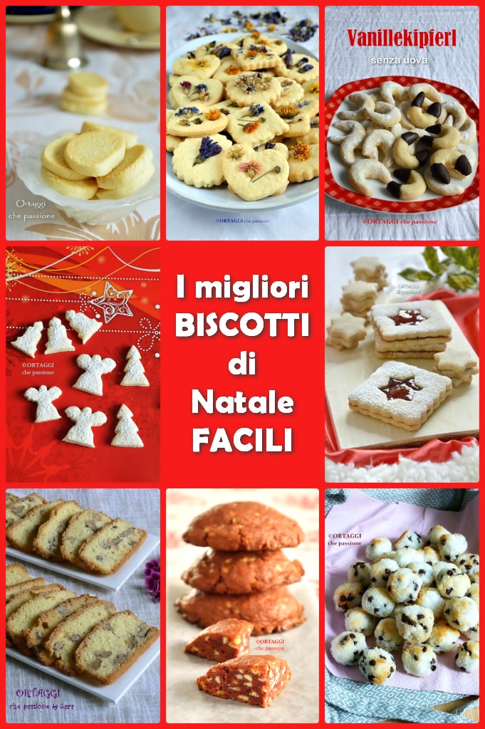 meilleurs biscuits de noël FACILES - ORTAGGI que passion