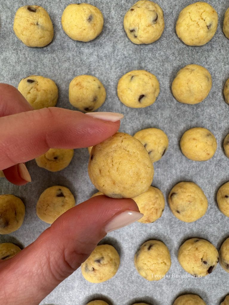 petits biscuits bicolores vanille et cacao