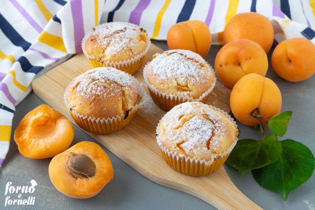 muffin aux abricots