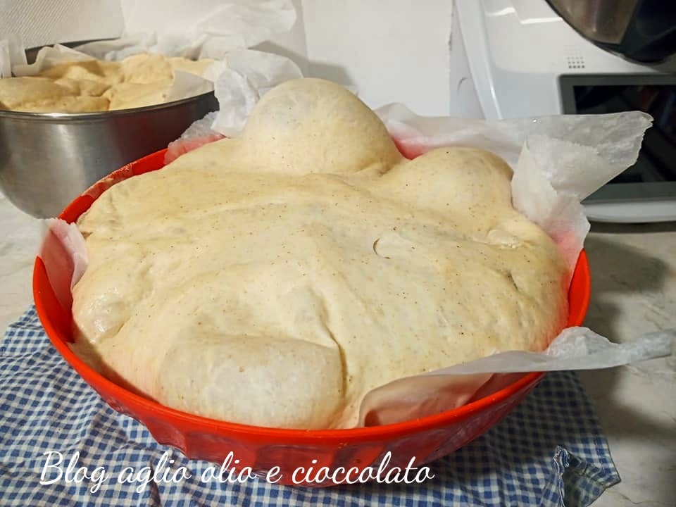 PÂTE À PIZZA BONCI AVEC LE THERMOMIX : PEU DE LEVURE ET TRÈS DIGESTE
