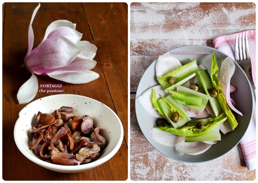 recettes avec fleurs de magnolia crues ou cuites