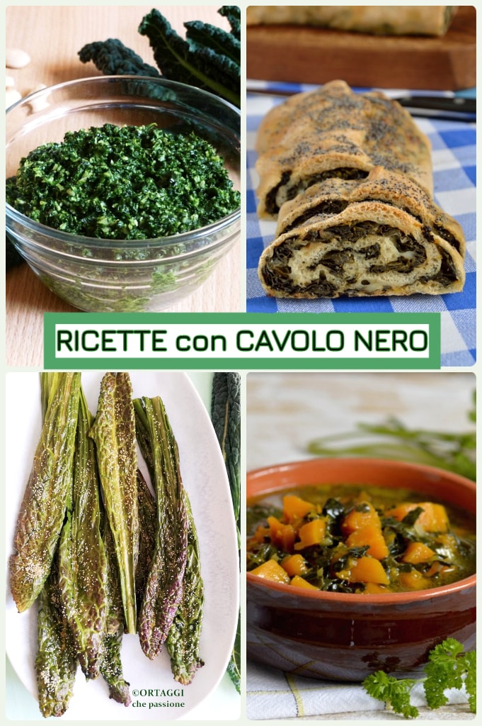 recettes de chou noir - Ortaggi che passione
