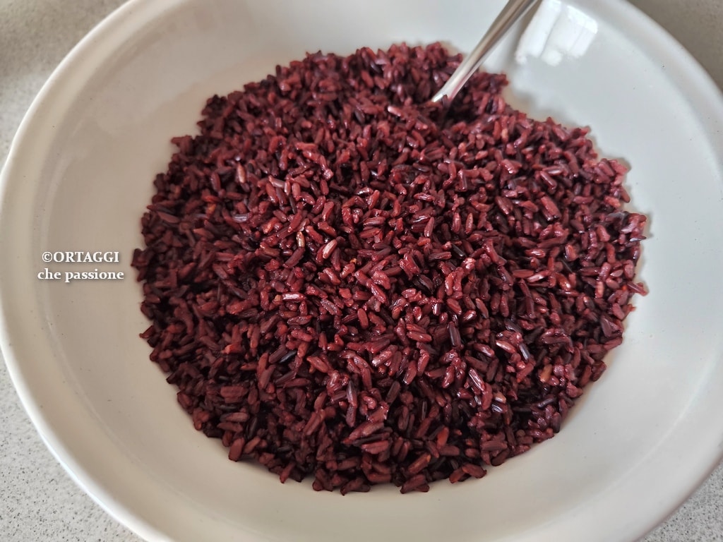 Riz noir Venere – types de cuisson