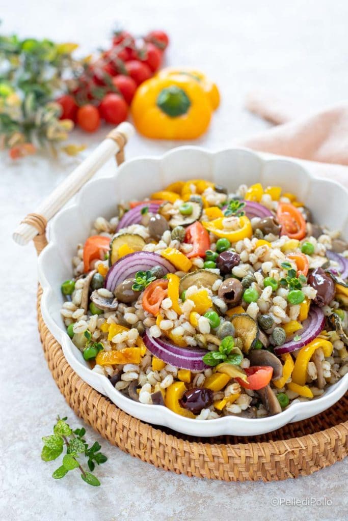 salade d'orge et légumes variés