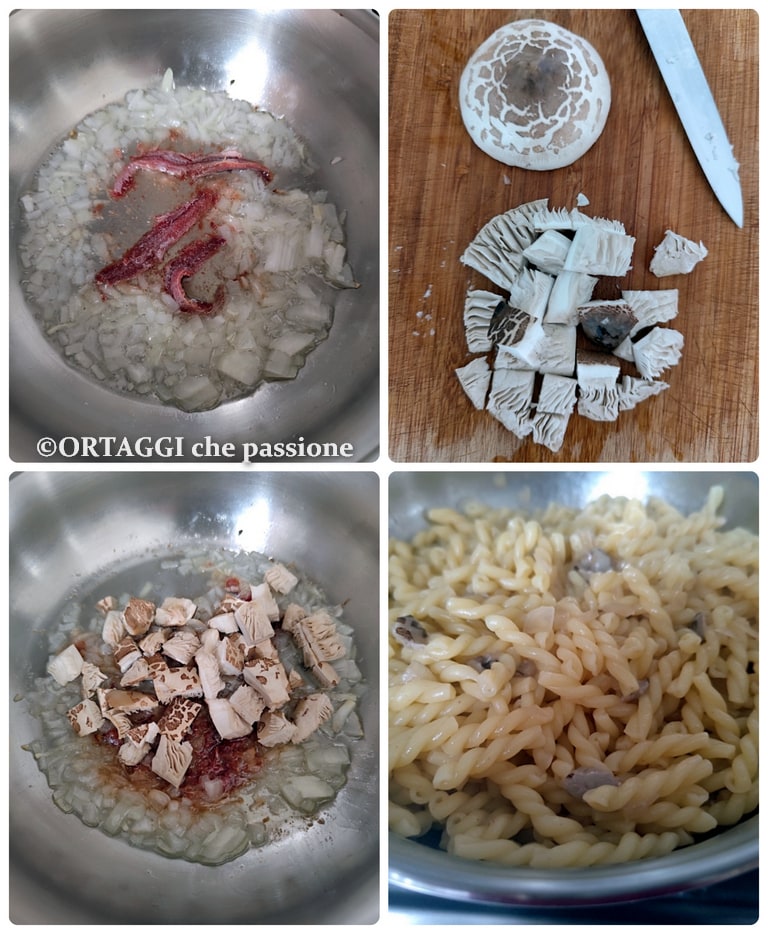 sauce de parapluie