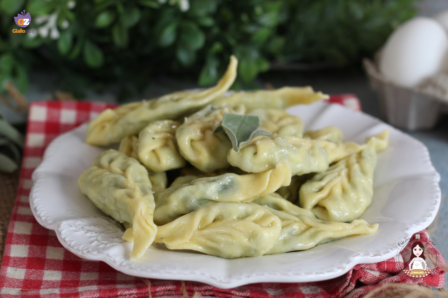 Tortelli piacentini