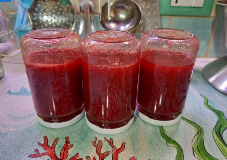 Compote de prunes sans sucre