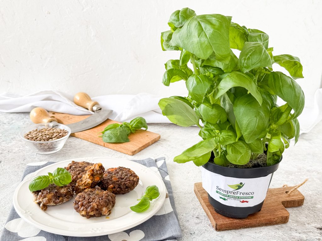 Boulette de lentilles à la poêle avec basilic