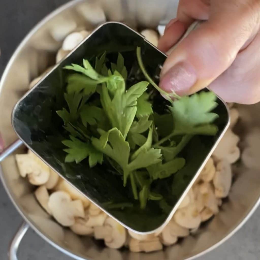 Gnocchi avec stracchino champignons et speck