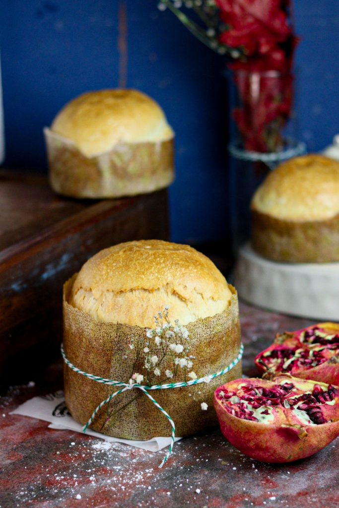 PANETTONE GASTRONOMIQUE FACILE EXPLIQUÉ ÉTAPE PAR ÉTAPE