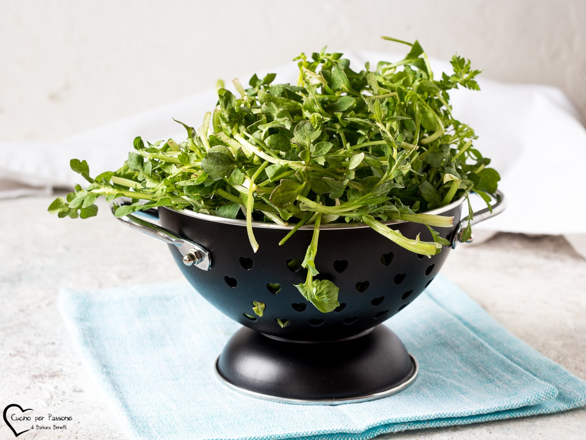 ROSOLES, rosoletes ou rosoines, ce qu’ils sont, recettes et comment les reconnaître