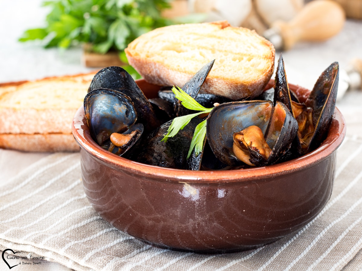 SOUPE DE MOULES À LA TOMATE