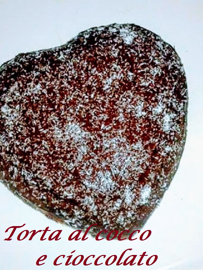 Gâteau à la noix de coco et chocolat