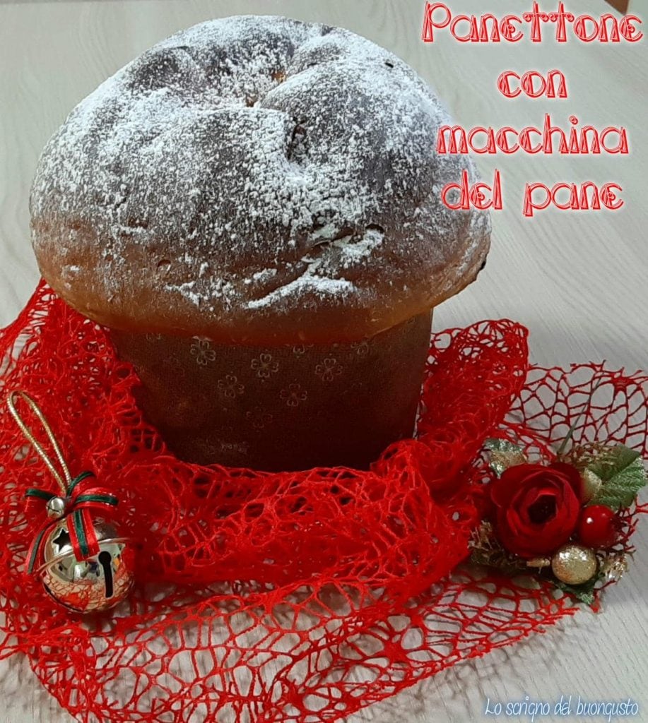 Panettone avec la machine à pain