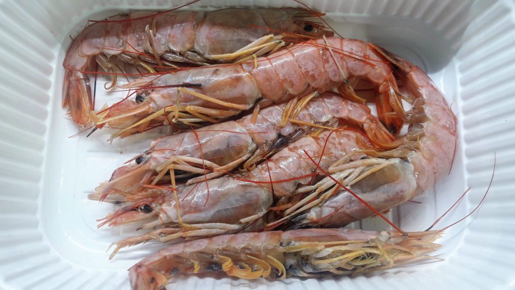 crevettes géantes
