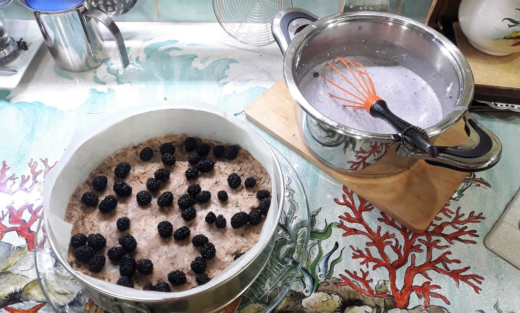 Cheesecake froide légère aux mûres