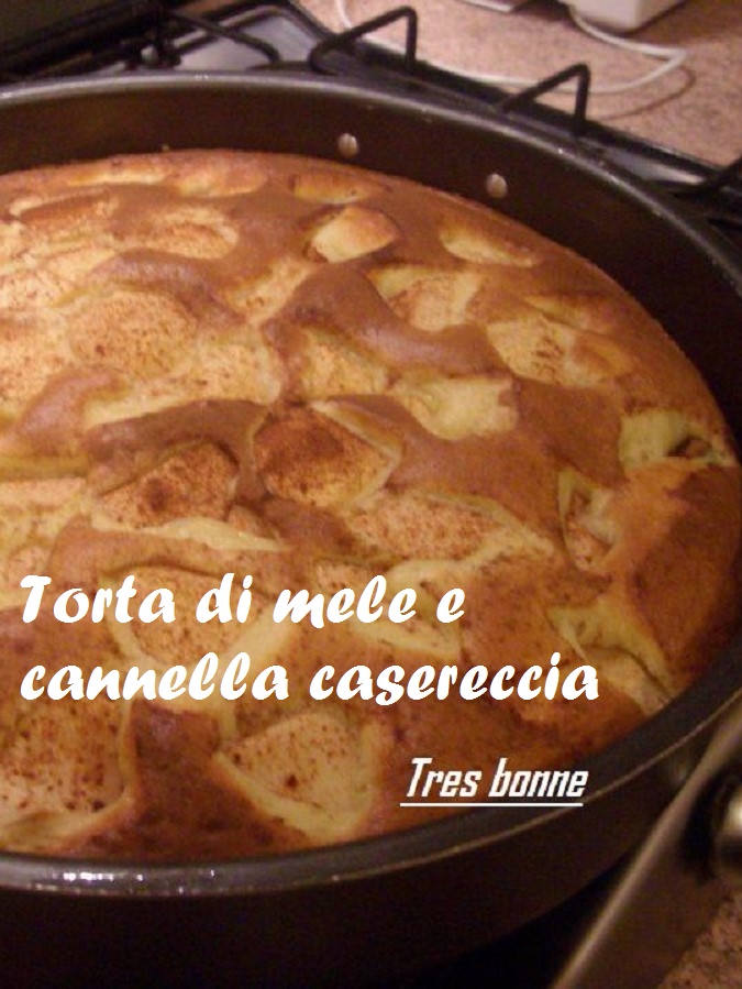 Gâteau rustique aux pommes et cannelle