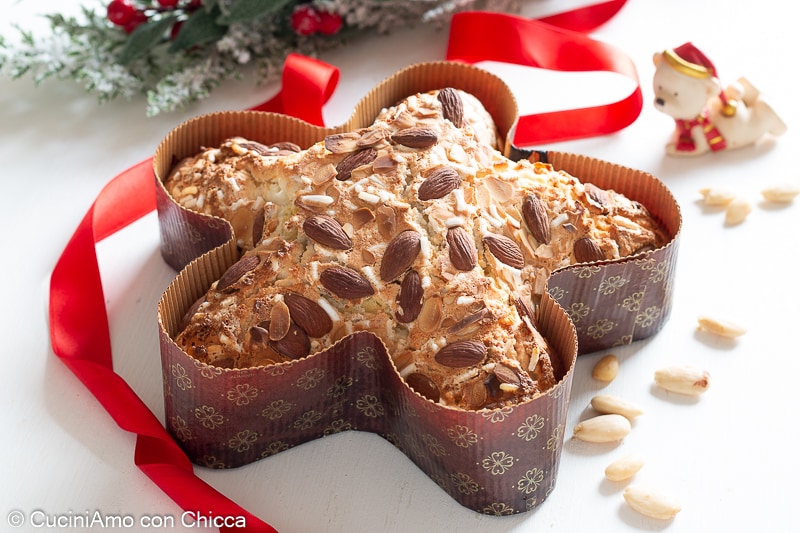 Étoile de Noël très moelleuse